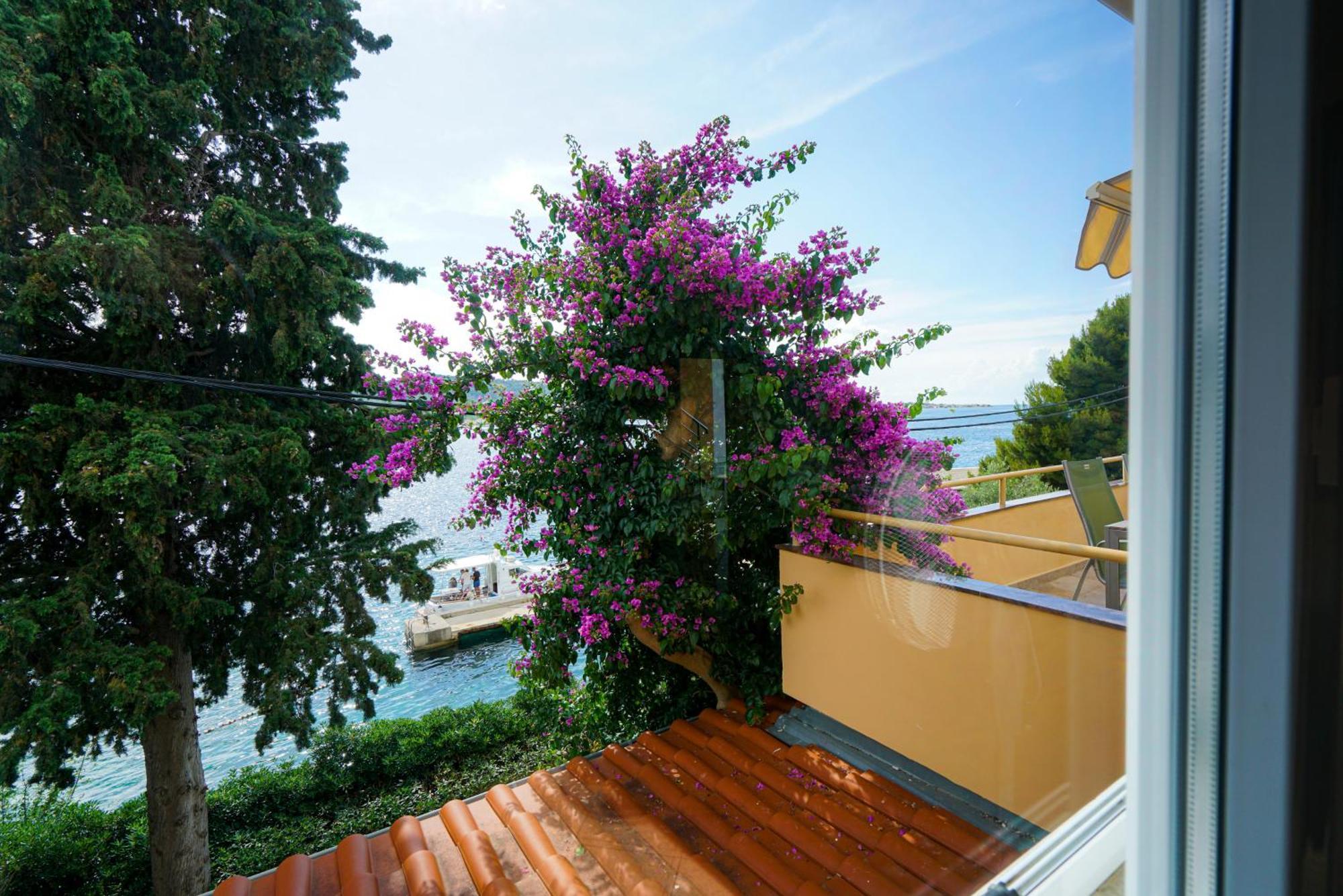 Apartma Osljak Preko