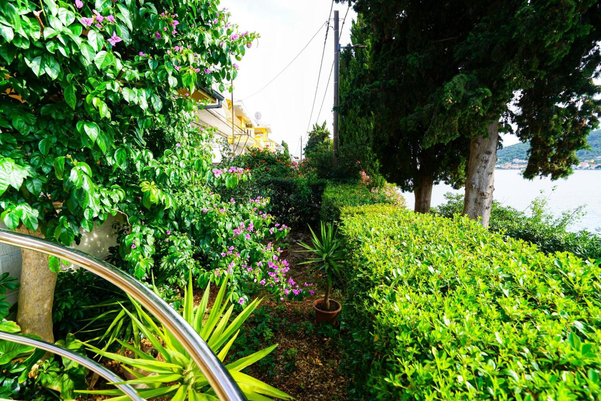 Osljak Apartma